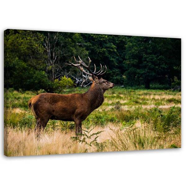 Wandbild hirsch auf der brunft 90 x 60 cm