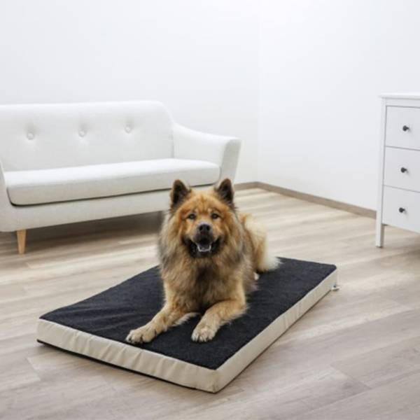 Hundematratze 3018892 Flachgewebe - 75 x 8 x 115 cm