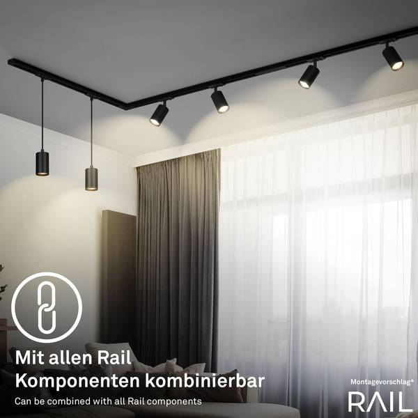 Pendelleuchte Schienensystem 8016045 Schwarz