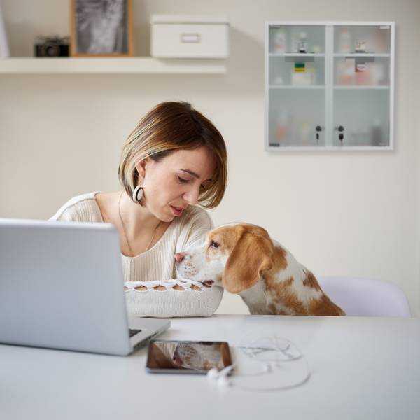 Medicijnkastje met dubbele glazen deur zilver - wit - staal - 53 x 53 x 16 cm