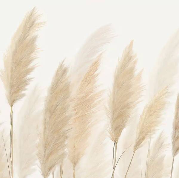 Fototapete 601438 Weiß - Papier - 375 x 270 x 375 cm