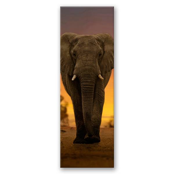 Wandbild elefant in der wüste 30 x 90 cm
