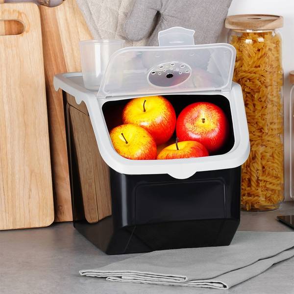 Aufbewahrungsbox für Gemüse 229160 kaufen