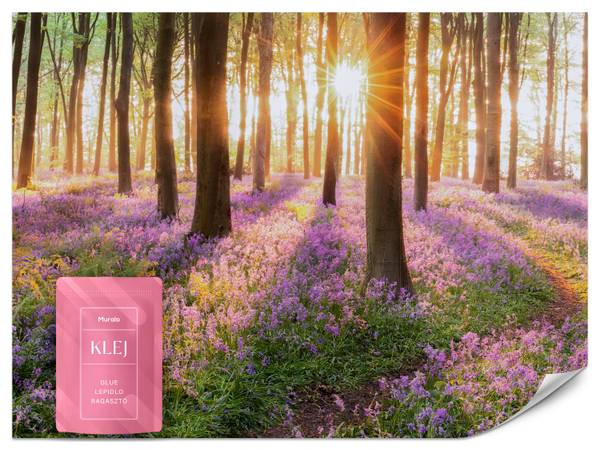 Fototapete Wald Blumen Sonnenaufgang 100 x 70 x 70 cm