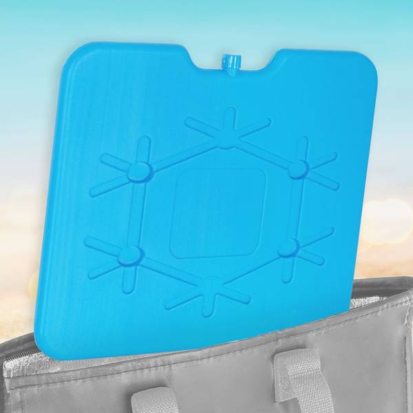 Kühlelemente 2er Set SET177 Blau - Kunststoff - 22 x 2 x 26 cm