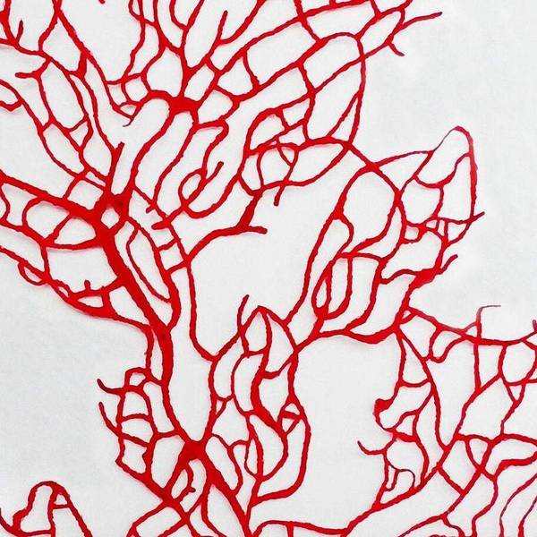 Tapete Rote Koralle Rot - Papier - 200 x 250 x 1 cm