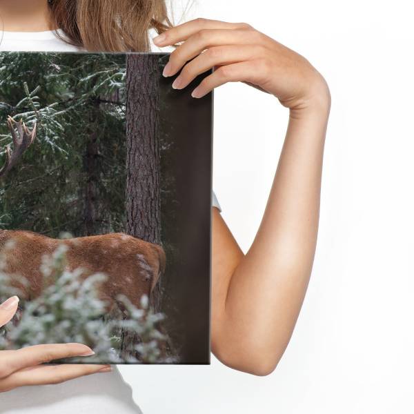 Leinwandbild Hirsch WALD Winter Bäume 3D 40 x 30 x 30 cm