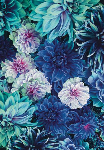 Panorama-Tapete Blaue Dahlie Blau - Papier - 192 x 280 x 192 cm