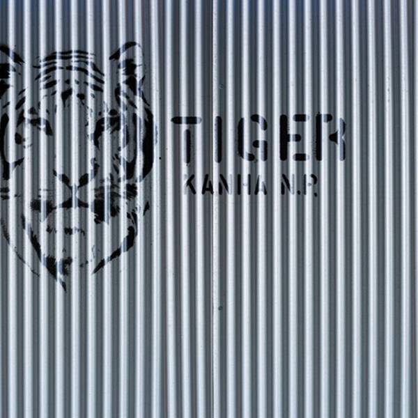 Fototapete 640953 Braun - Papier - 424 x 280 x 424 cm