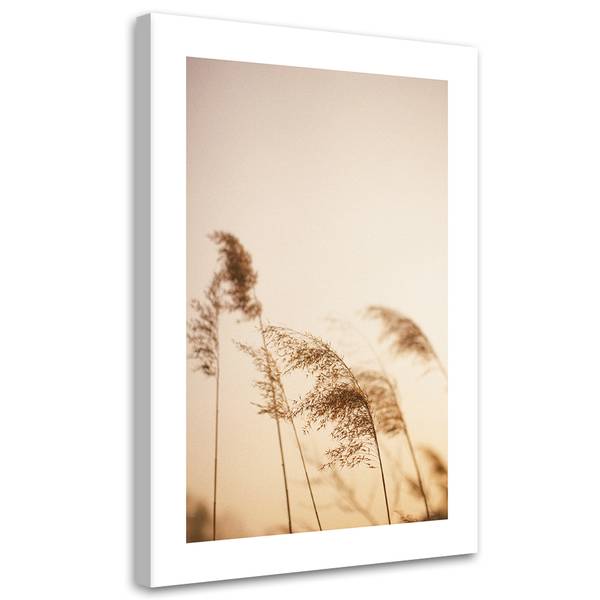 Tableau déco roseaux 70 x 100 cm