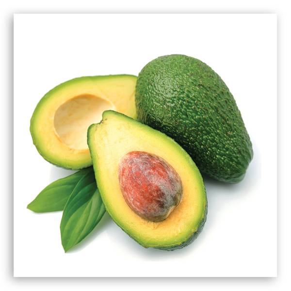 Wandbild avocado obst 40 x 40 cm