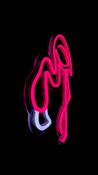 LED Neon Schild Flamingo Kunststoff - 40 x 33 x 2 cm