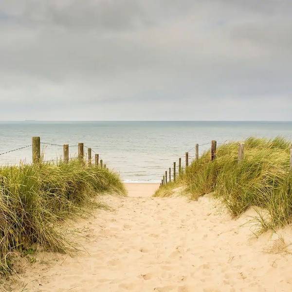 Fototapete 601437 Beige - Papier - 375 x 270 x 270 cm