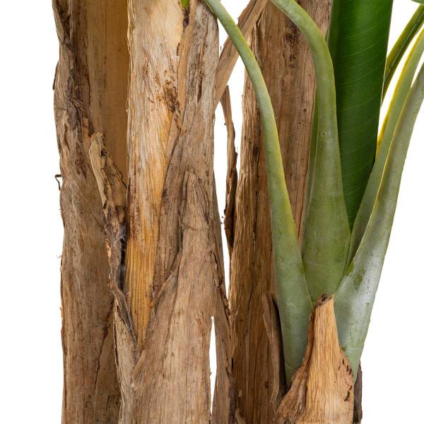 Künstlicher Bananenbaum BANANIER Grün - Stein - 140 x 285 x 140 cm