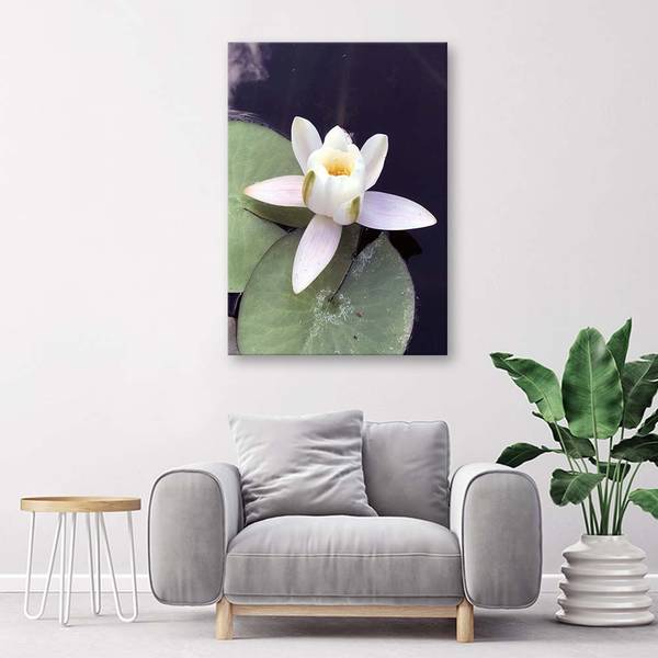 Wandbild seerose blume pflanze 60 x 90 cm