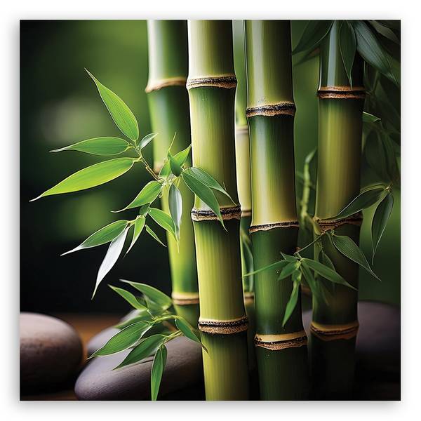 Wandbild orientalischer bambus zen 40 x 40 cm