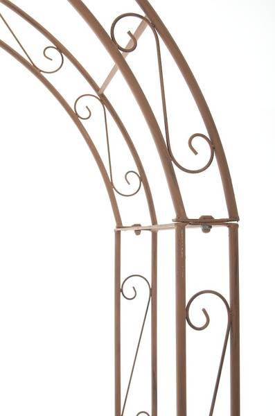 Rosenbogen Lenz Braun