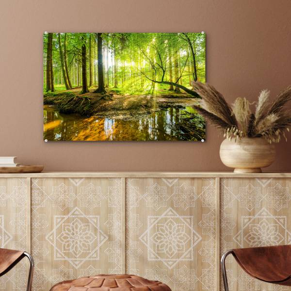ACRYLGLASBILD Wald 60 x 40 cm