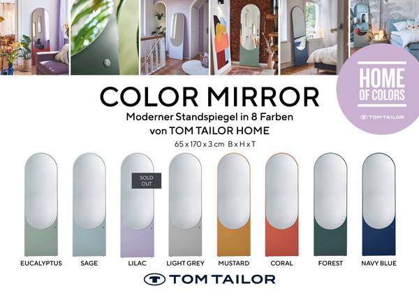 Color Mirror Standspiegel Grau - Holzwerkstoff - 181 x 170 x 3 cm