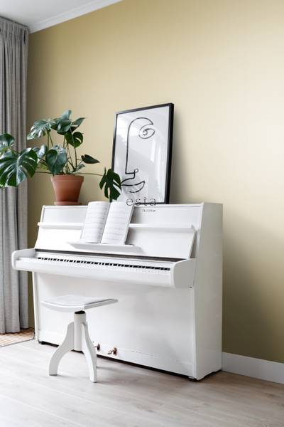 papier peint uni 2334 Doré - Polaire - 53 x 1005 x 1005 cm