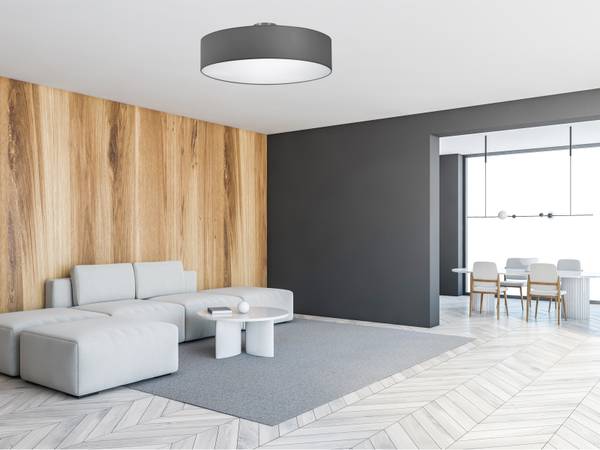 LED Deckenleuchte dimmbar Ø 50cm Grau - Silber