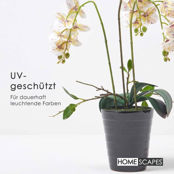 Künstliche Orchidee Lifelike Weiß - Polyester - 22 x 56 x 56 cm