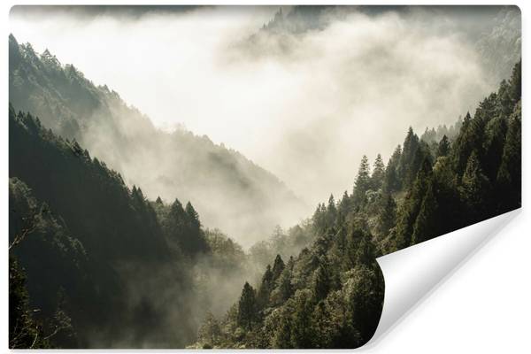Fototapete WALD IM NEBEL Bäume Natur 3D Grün - Fleece - 135 x 90 x 90 cm