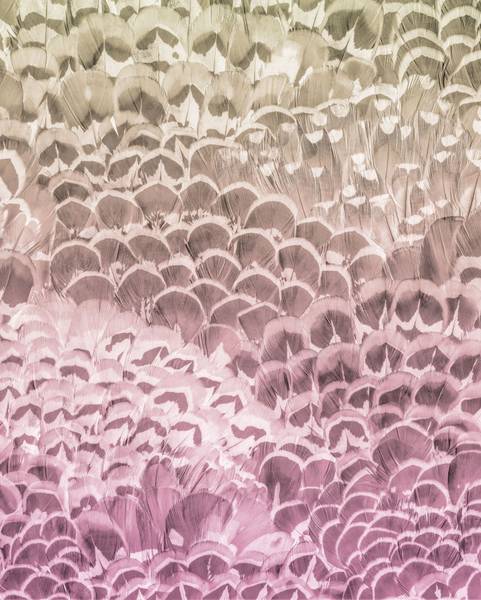 Fototapete 612355 Pink - Papier - 200 x 250 x 200 cm