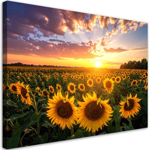 Wandbild Natur 90 x 60 cm