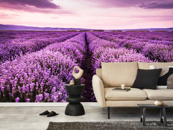 Fototapete Lavendel Wiese Klappe Natur 100 x 70 x 70 cm