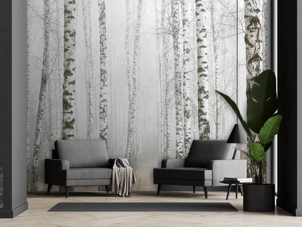 Fototapete Birkenwald im Nebel 400 x 280 cm