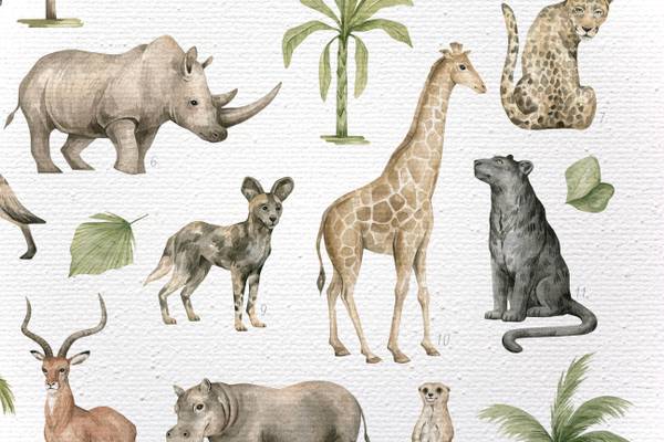 Leinwand 60x40 Afrikanische Tiere Polyester - 3 x 60 x 40 cm