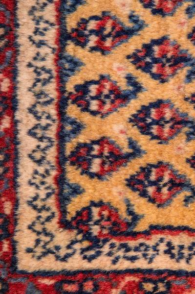 Orientteppich Nomadic Beige - Wolle - 238 x 1 x 288 cm