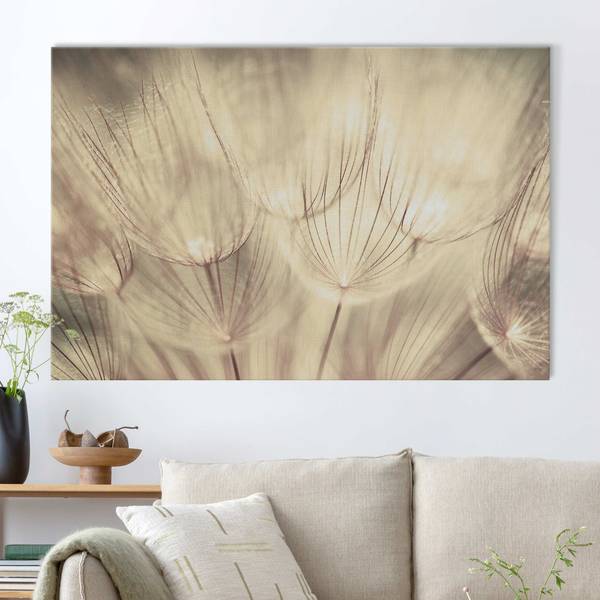 Akustikbild Pusteblumen Nahaufnahme 70 x 50 cm