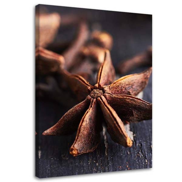 Wandbild sternanis 40 x 60 cm