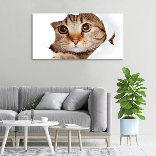 Wandbild Katze Beige - Mischgewebe - 100 x 50 x 4 cm