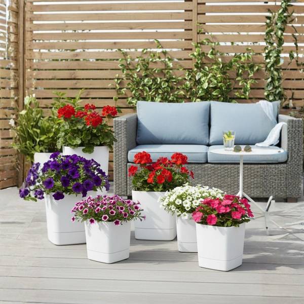 Blumentopf Cubi kaufen