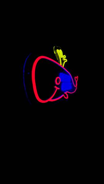 LED Neon Schild Moby Dicks Kunststoff - 34 x 70 x 2 cm