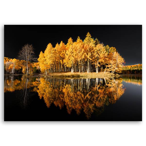 Wandbild wald bäume herbst 60 x 40 cm