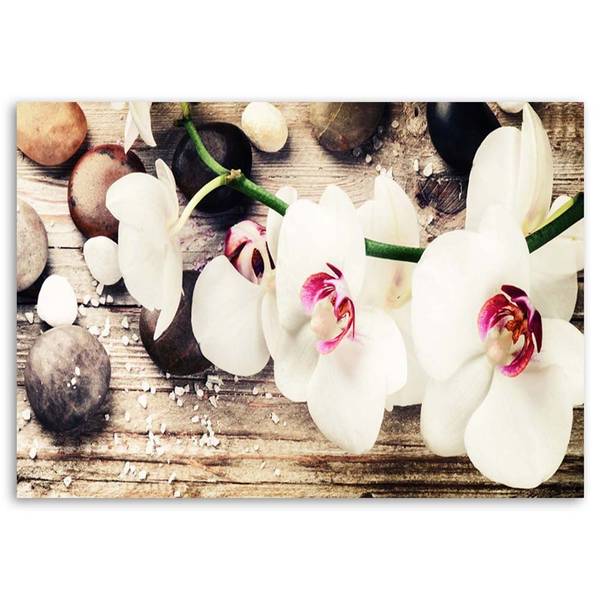 Wandbild orchideen zen 120 x 80 cm