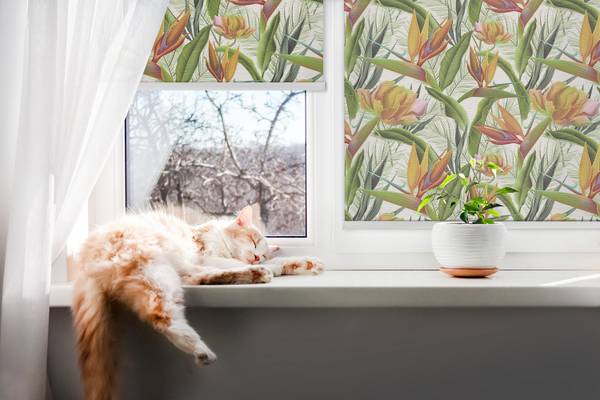 Verdunkelungsrollo TROPIC 60 x 140 cm