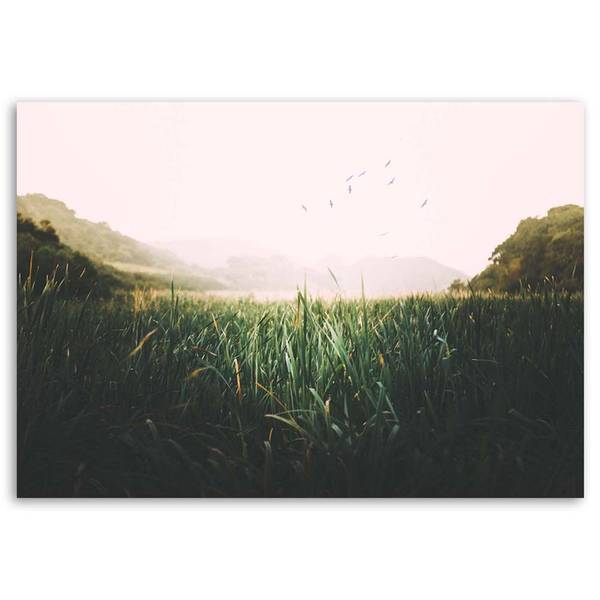 Canvas schilderij Zonsopkomsten 60 x 40 cm