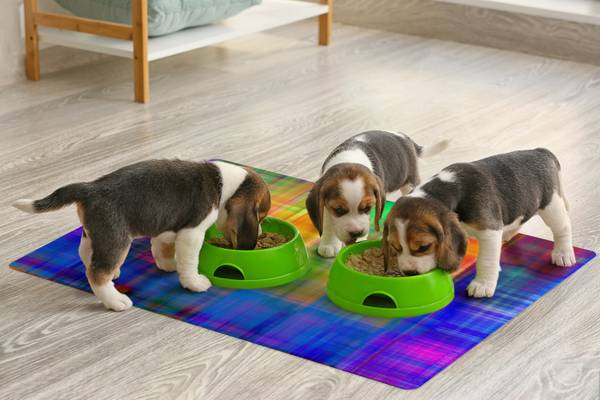 Futtermatte Buntes Grid Polyester PVC - 35 x 45 x 1 cm