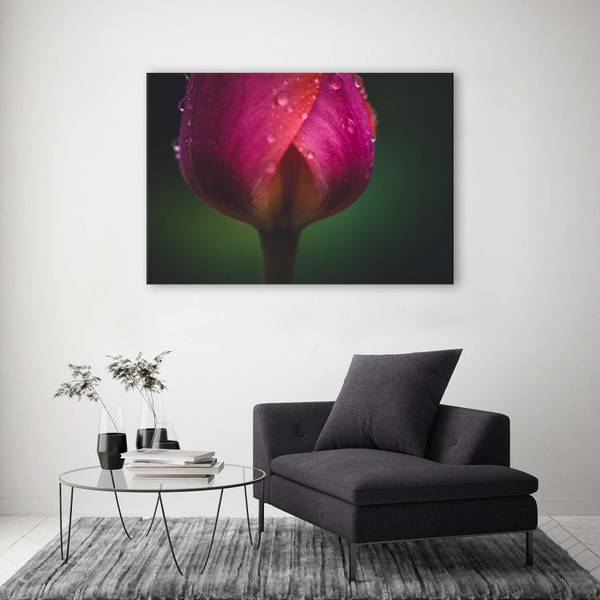 Canvas schilderij knop en dauw 60 x 40 cm