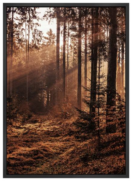 Bild IMAGE Beige - Braun - Holzwerkstoff - Papier - Kunststoff - 50 x 70 x 1 cm