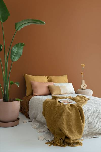 Wandfarbe matt 191031 Orange - Papier - 1800 x 100 x 1800 cm