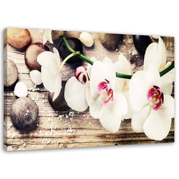 Wandbild orchideen zen 120 x 80 cm