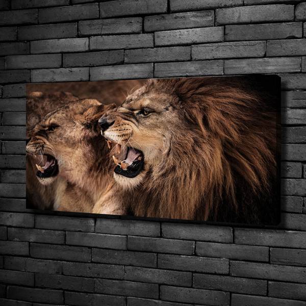 Wandbild Brüllende Löwen Braun - Mischgewebe - 100 x 50 x 4 cm