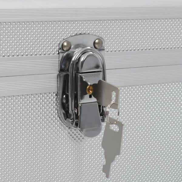 Aufbewahrungskoffer 297564 (2er Set) Silber