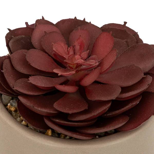 Plante grasse artificielle PARIS Gris